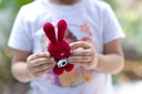 Luca the Crochet Bunny Keychain — with Camera